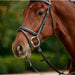 image_addtnl_3 - Brown - Dublin Padded Flash Bridle - .jpg