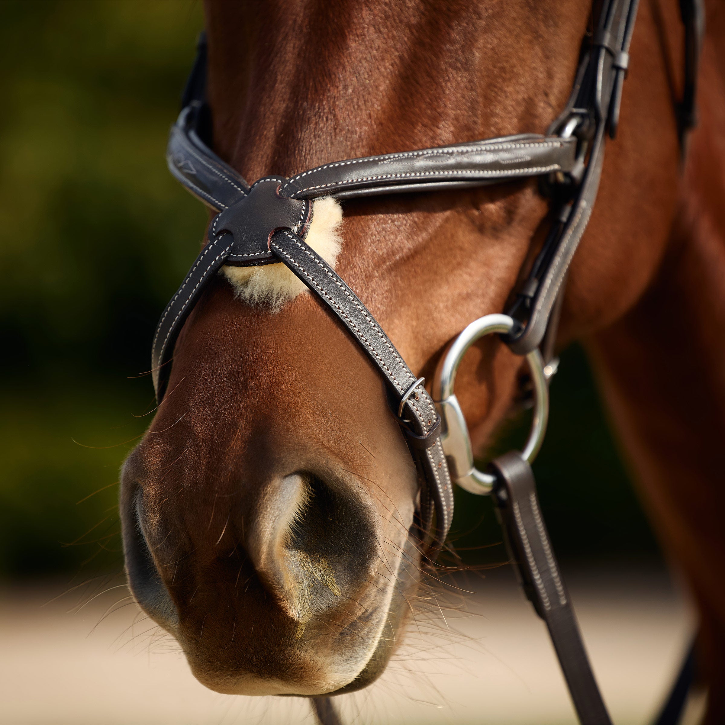 image_addtnl_3 - Brown - Dublin Padded Mono Crown Fancy Stitch Grackle Bridle - .jpg