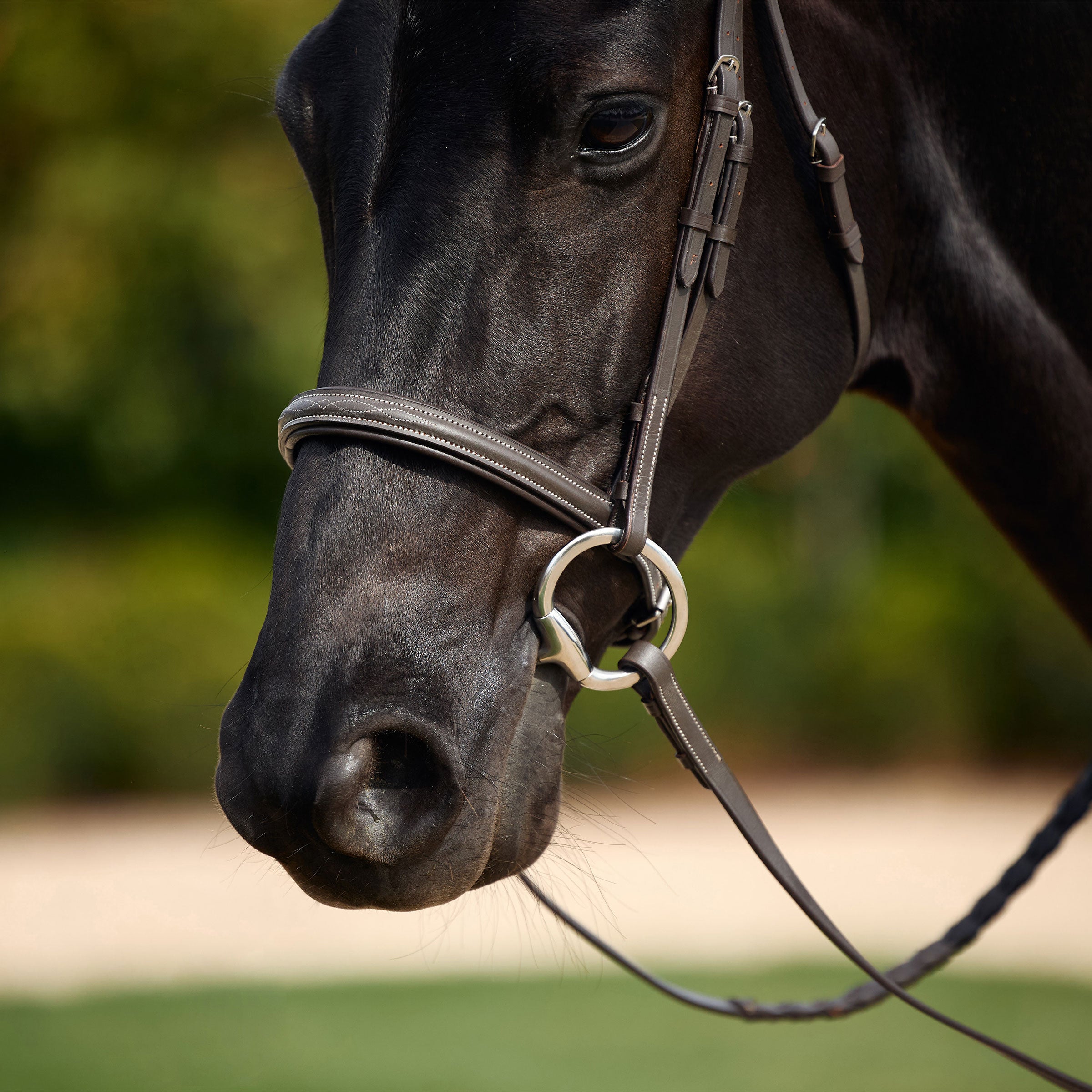 image_addtnl_3 - Brown - Dublin Padded Mono Crown Fancy Stitch Hunt Bridle - .jpg