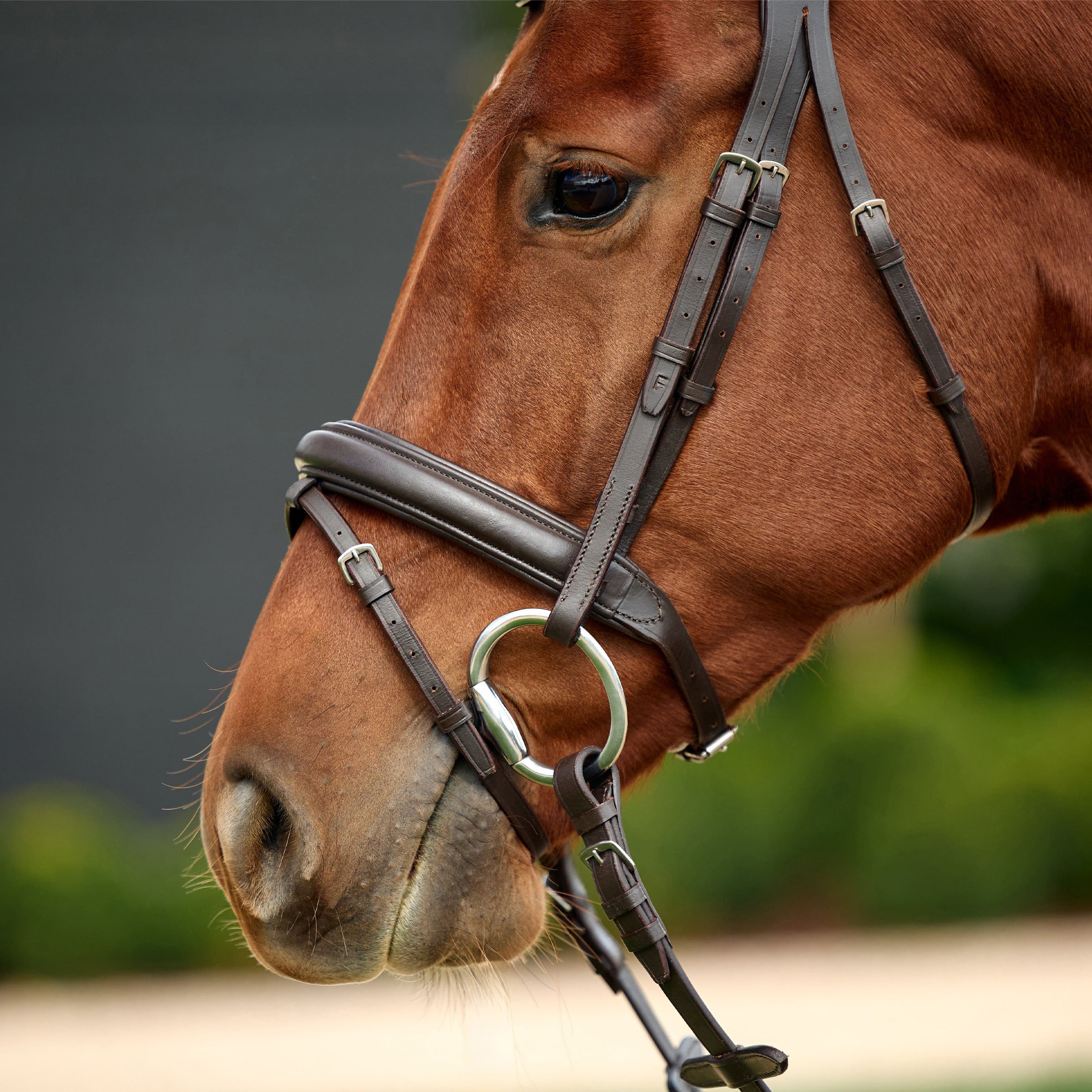 image_addtnl_3 - Brown - Dublin Padded Mono Crown Flash Bridle - .jpg