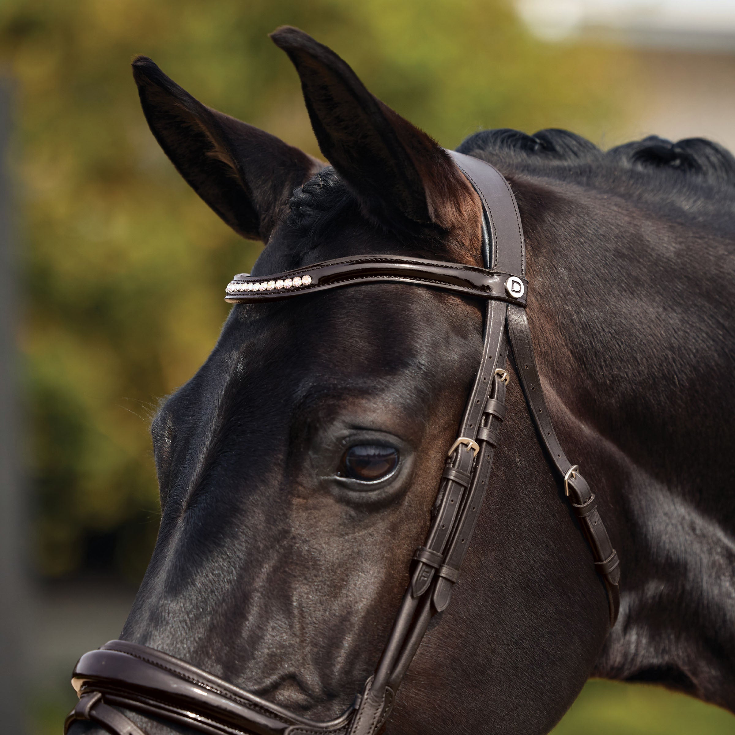 image_addtnl_3 - Brown - Dublin Padded Mono Crown Patent Flash Bridle - .jpg