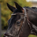 image_addtnl_3 - Brown - Dublin Padded Mono Crown Patent Flash Bridle - .jpg