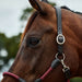image_addtnl_3 - Burgundy/Brown - Dublin Leather Rope Halter - .jpg