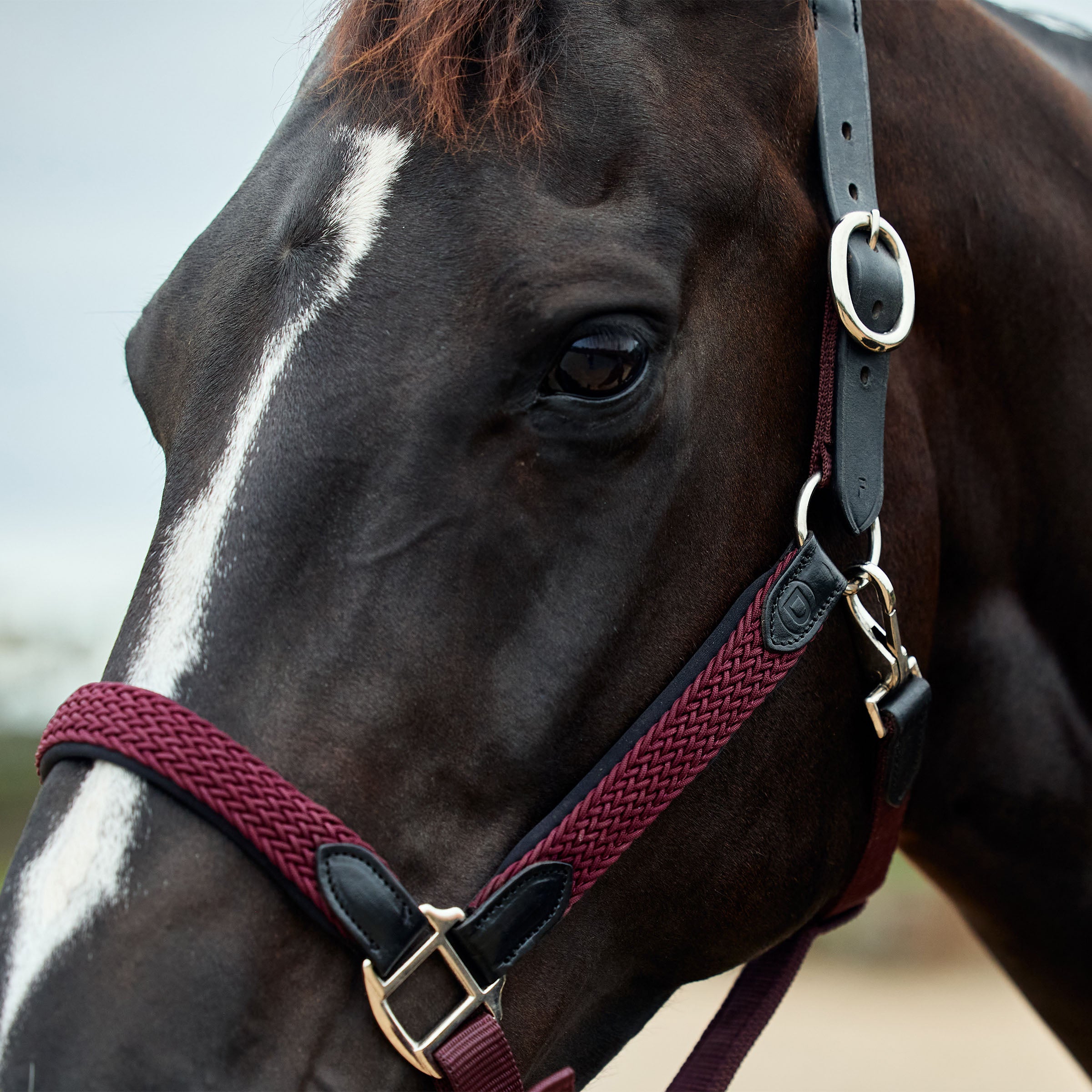 image_addtnl_3 - Burgundy - Dublin Braided Leather Halter - .jpg