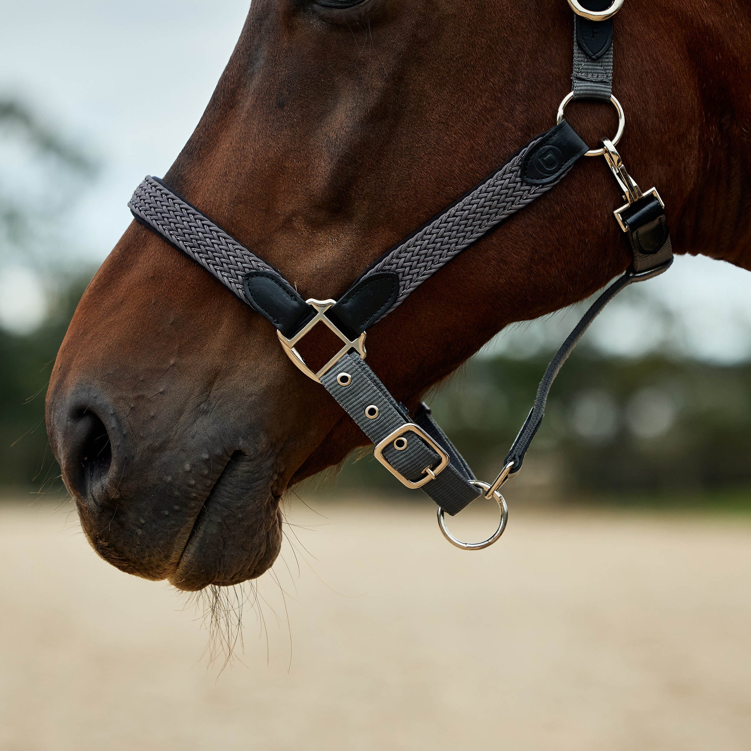 image_addtnl_3 - Charcoal - Dublin Braided Leather Halter - .jpg