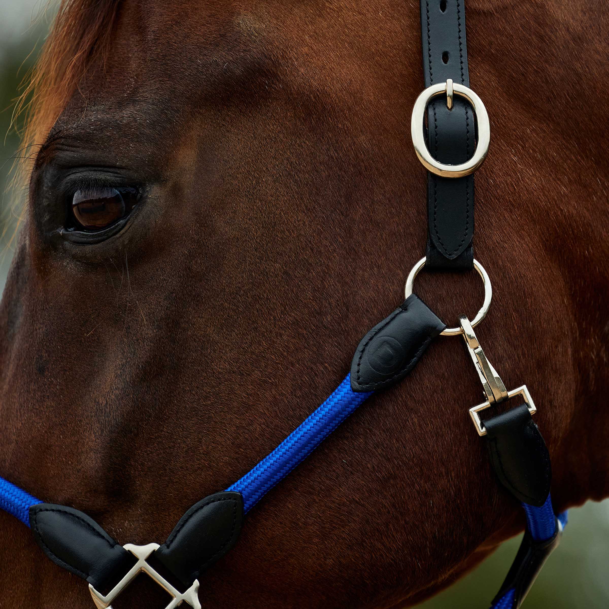 image_addtnl_3 - Cobalt/Black - Dublin Leather Rope Halter - .jpg