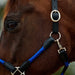image_addtnl_3 - Cobalt/Black - Dublin Leather Rope Halter - .jpg