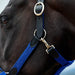 image_addtnl_3 - Cobalt - Dublin Braided Leather Halter - .jpg
