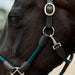 image_addtnl_3 - Hunter Green/Brown - Dublin Leather Rope Halter - .jpg