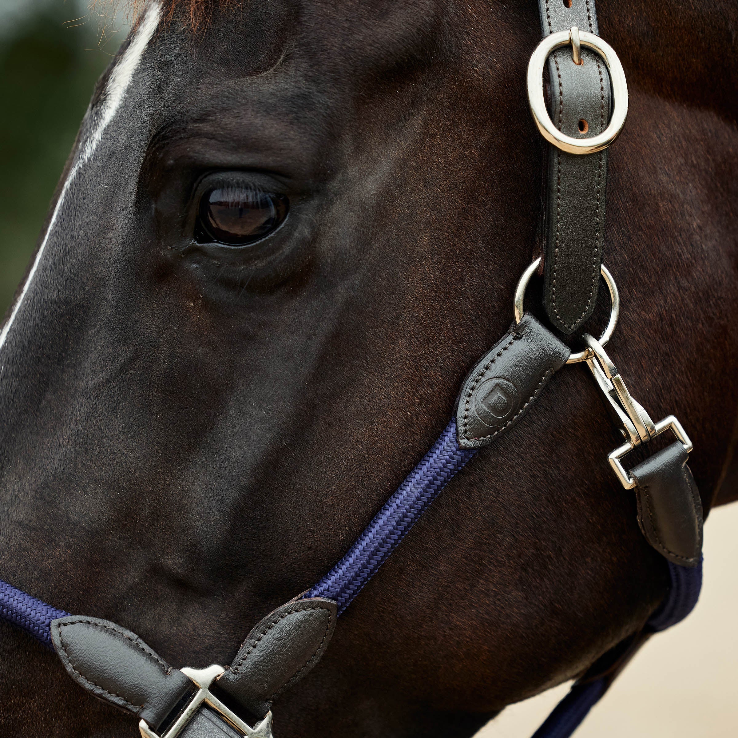 image_addtnl_3 - Navy/Brown - Dublin Leather Rope Halter - .jpg