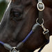 image_addtnl_3 - Navy/Brown - Dublin Leather Rope Halter - .jpg
