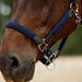 image_addtnl_3 - Navy - Dublin Braided Leather Halter - .jpg
