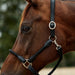 image_addtnl_4 - Black/Black - Dublin Leather Rope Halter - .jpg