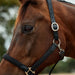 image_addtnl_4 - Black - Dublin Braided Leather Halter - .jpg