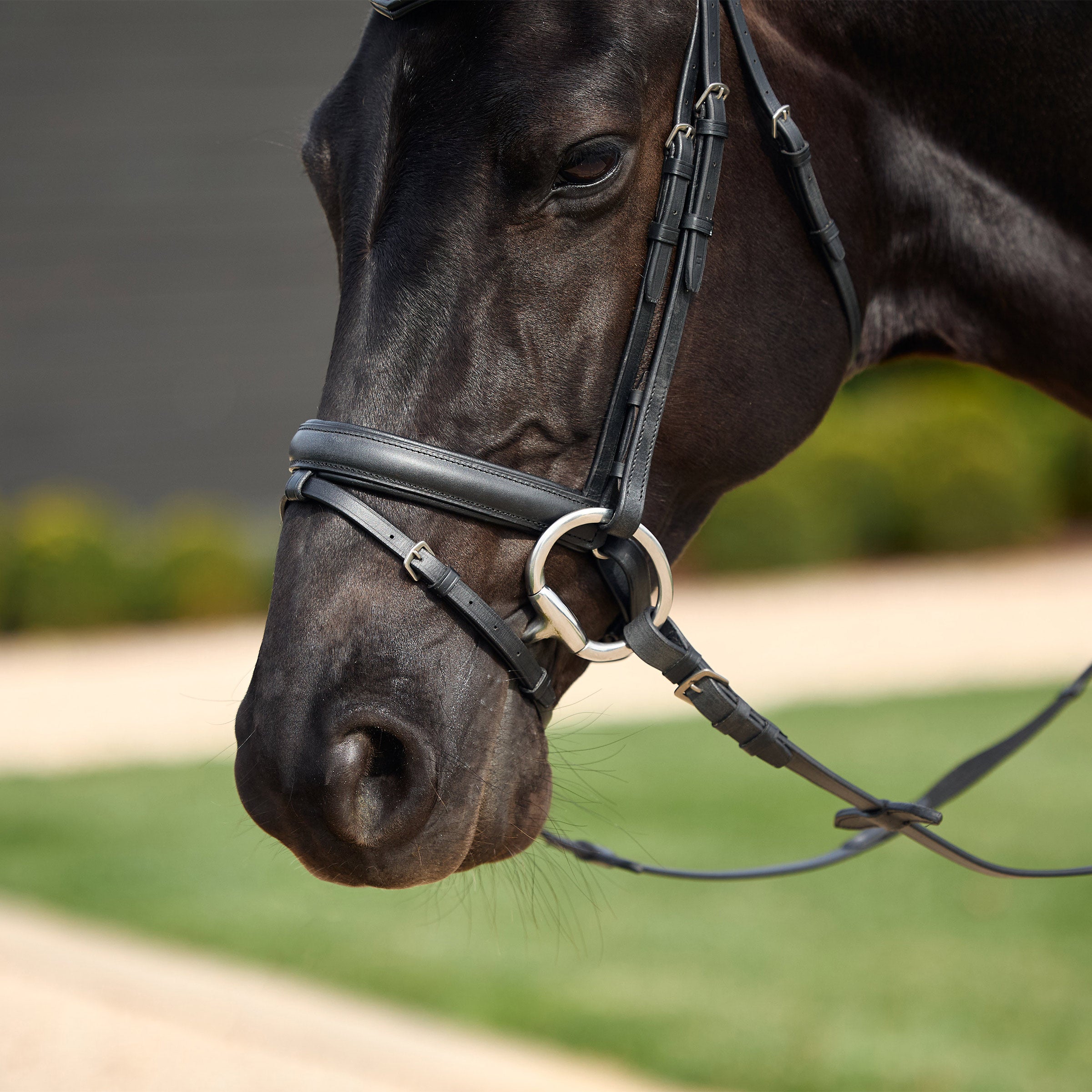 image_addtnl_4 - Black - Dublin Padded Comfort Crown Crystal Flash Bridle - .jpg