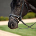 image_addtnl_4 - Black - Dublin Padded Comfort Crown Crystal Flash Bridle - .jpg