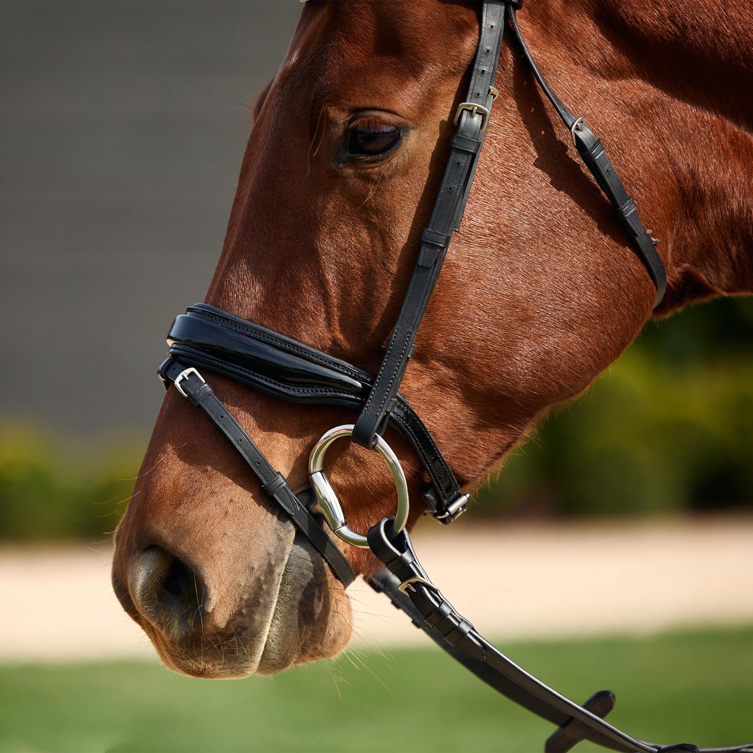 image_addtnl_4 - Black - Dublin Padded Comfort Crown Patent Flash Bridle - .jpg