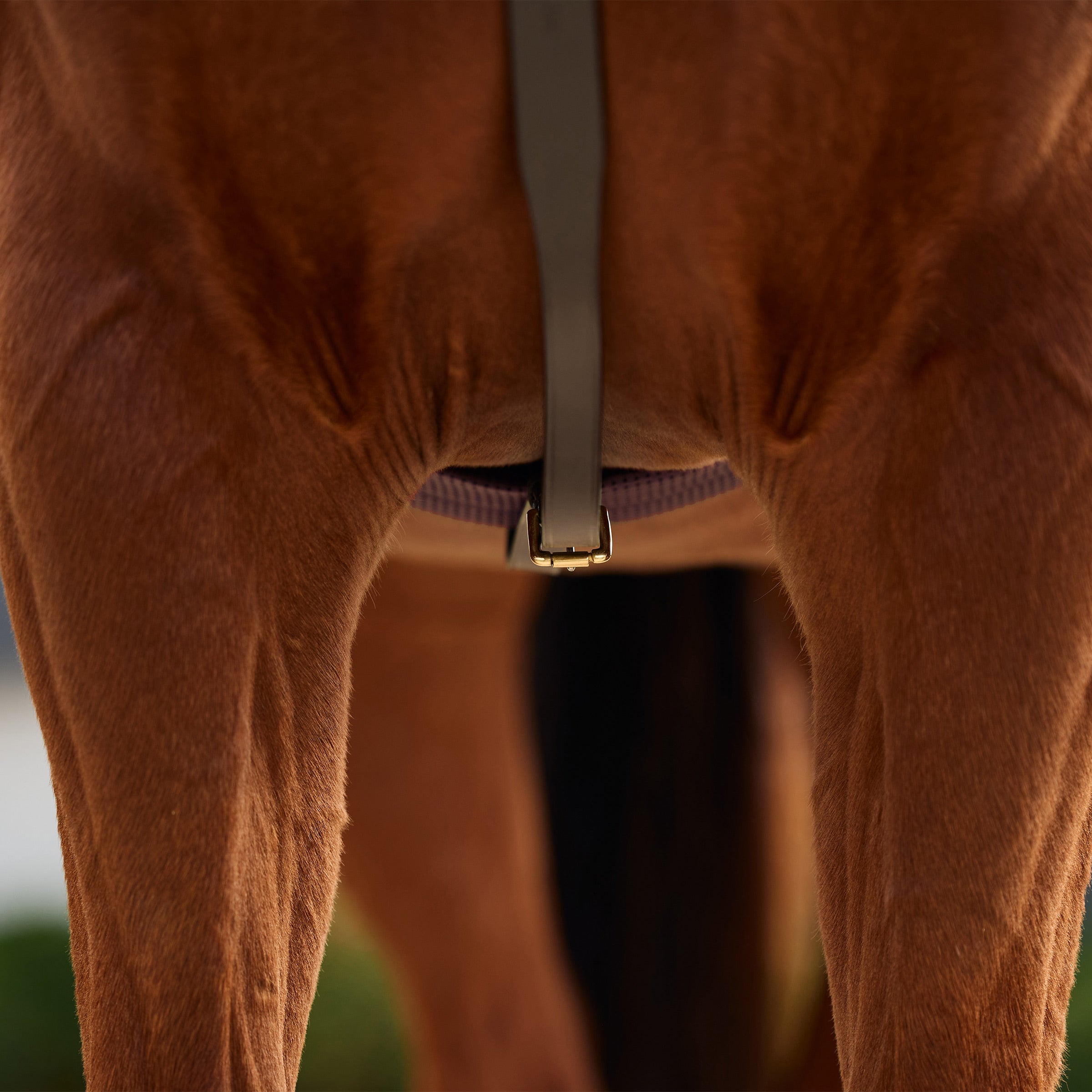 image_addtnl_4 - Brown - Dublin 3-Point Breastplate - .jpg