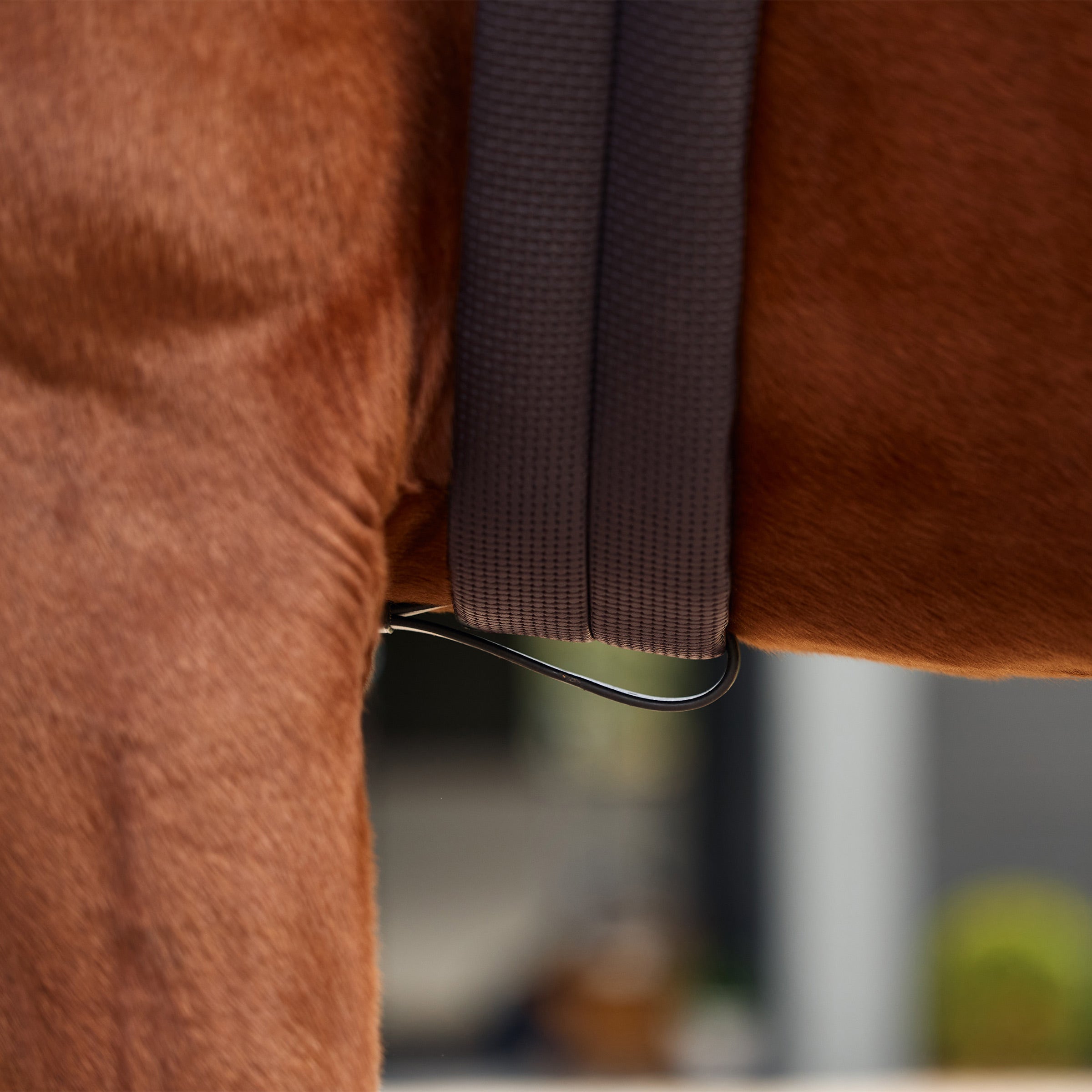 image_addtnl_4 - Brown - Dublin 5-Point Event Breastplate - .jpg