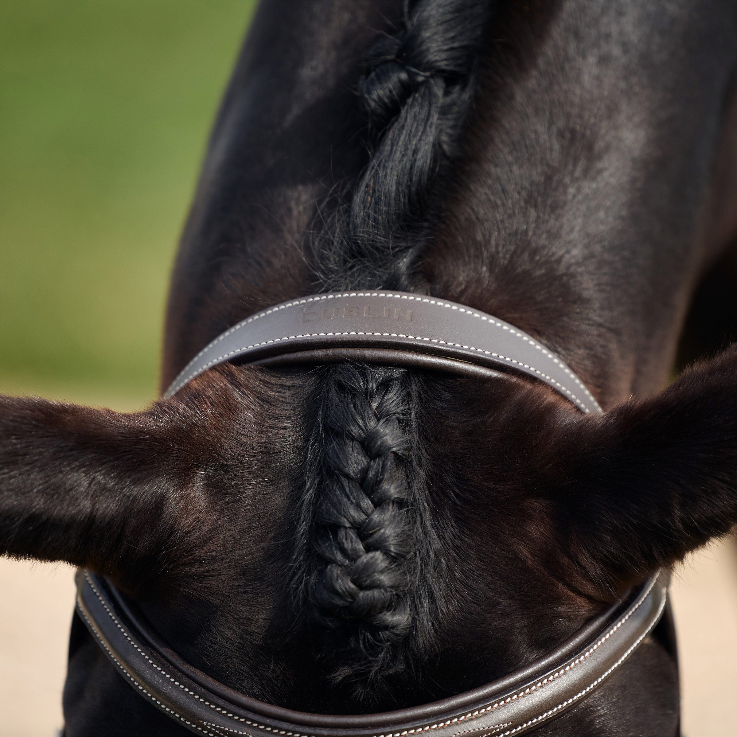 image_addtnl_4 - Brown - Dublin Padded Mono Crown Fancy Stitch Hunt Bridle - .jpg