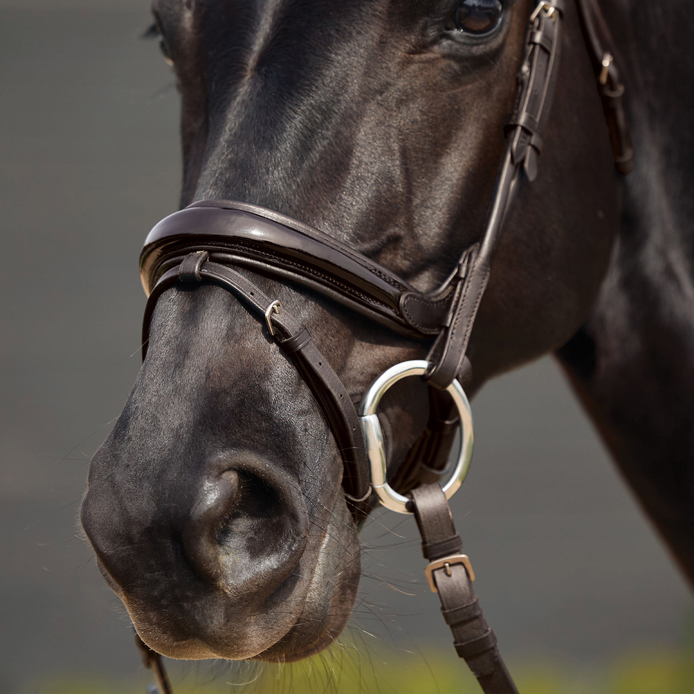 image_addtnl_4 - Brown - Dublin Padded Mono Crown Patent Flash Bridle - .jpg
