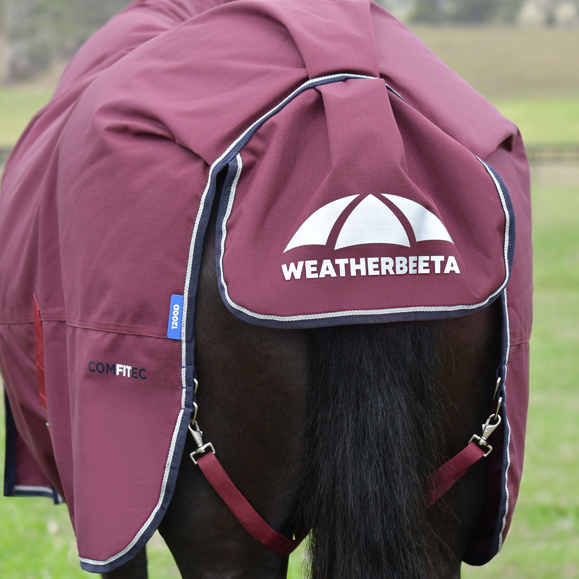 image_addtnl_4 - Burgundy/Navy - WeatherBeeta ComFiTec Essential Turnout Combo 360g - .jpg