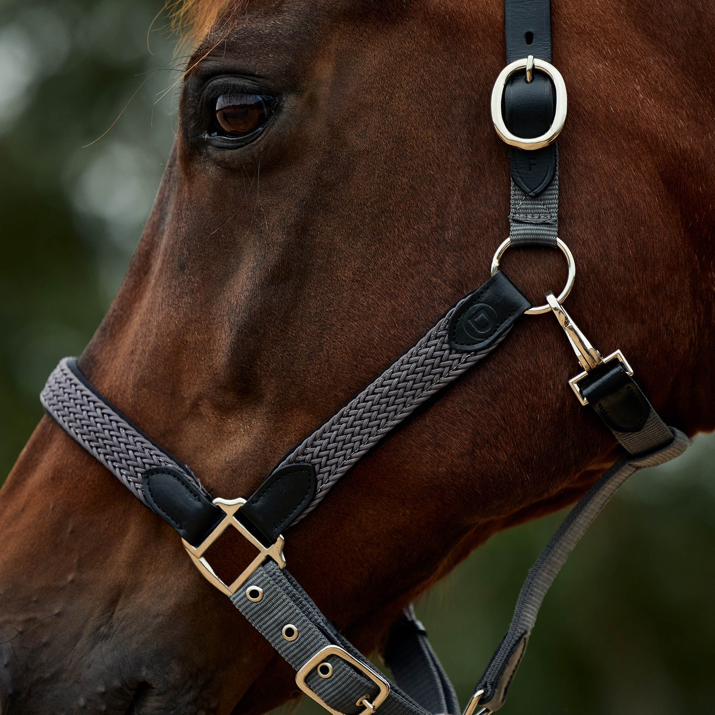 image_addtnl_4 - Charcoal - Dublin Braided Leather Halter - .jpg