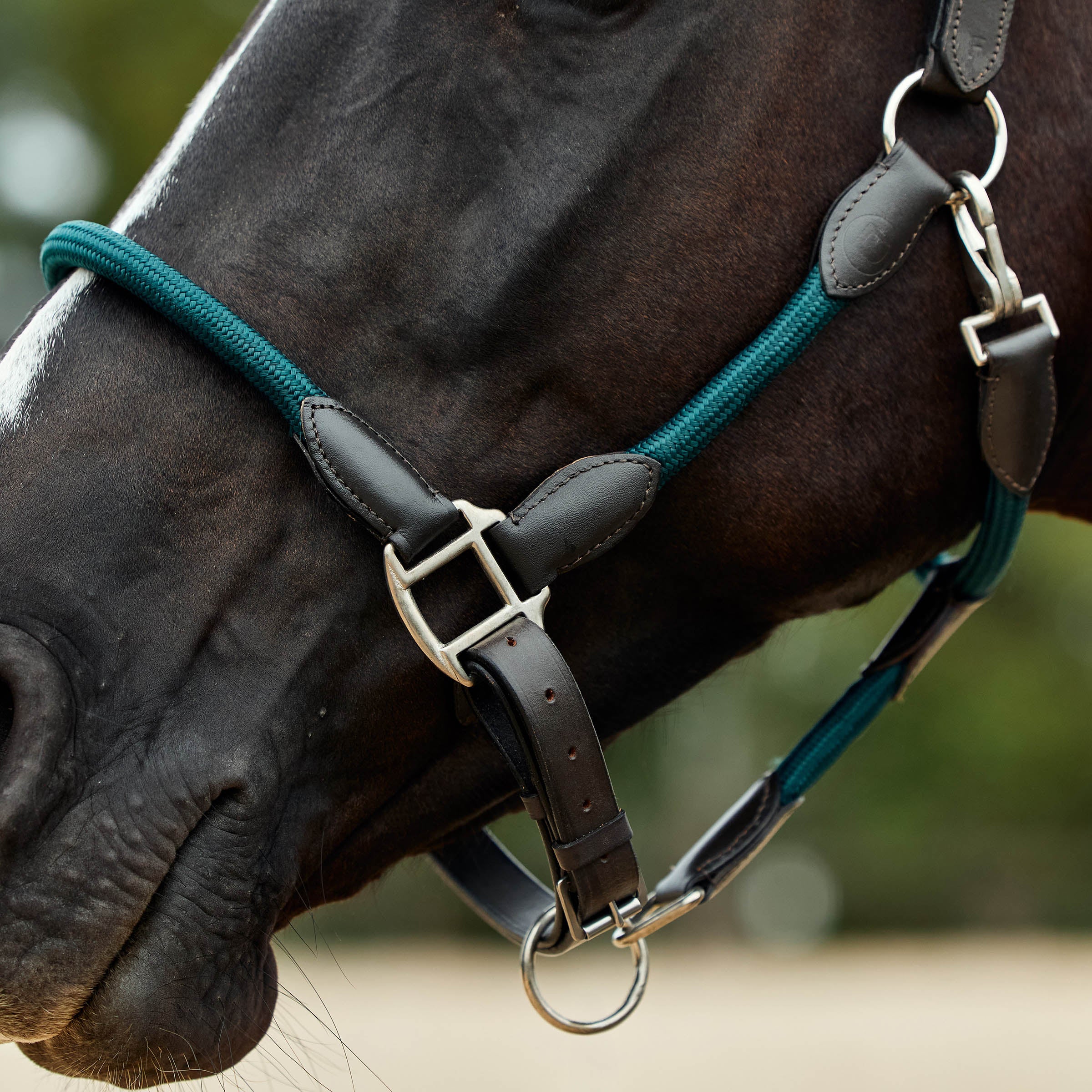 image_addtnl_4 - Hunter Green/Brown - Dublin Leather Rope Halter - .jpg