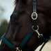 image_addtnl_4 - Hunter Green - Dublin Braided Leather Halter - .jpg