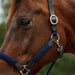image_addtnl_4 - Navy - Dublin Braided Leather Halter - .jpg