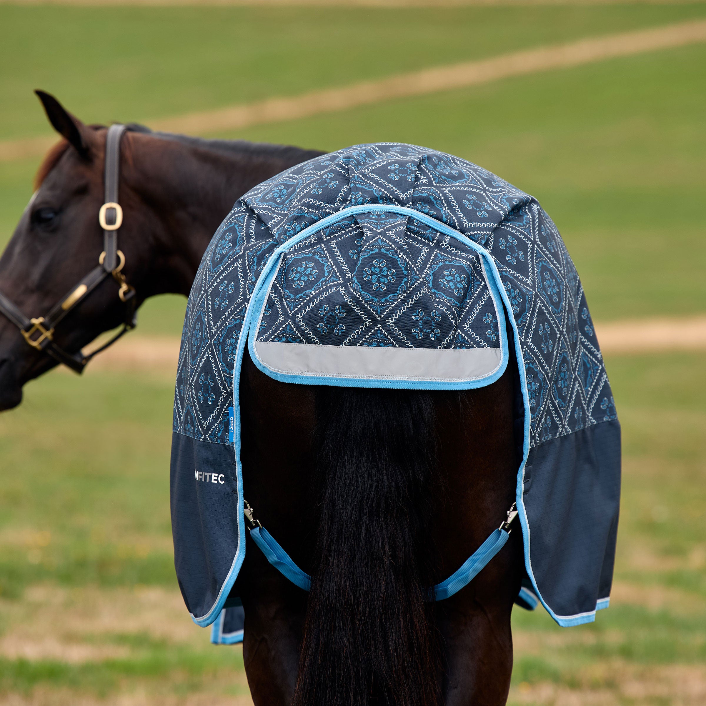 image_addtnl_4 - Paisley Print - WeatherBeeta ComFiTec Heritage Turnout 100G - .jpg