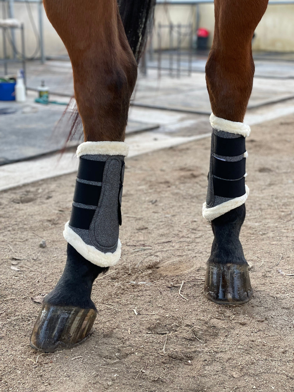 Halter Ego® Gunmetal Glitter Brushing Boots - Equine Exchange Tack Shop