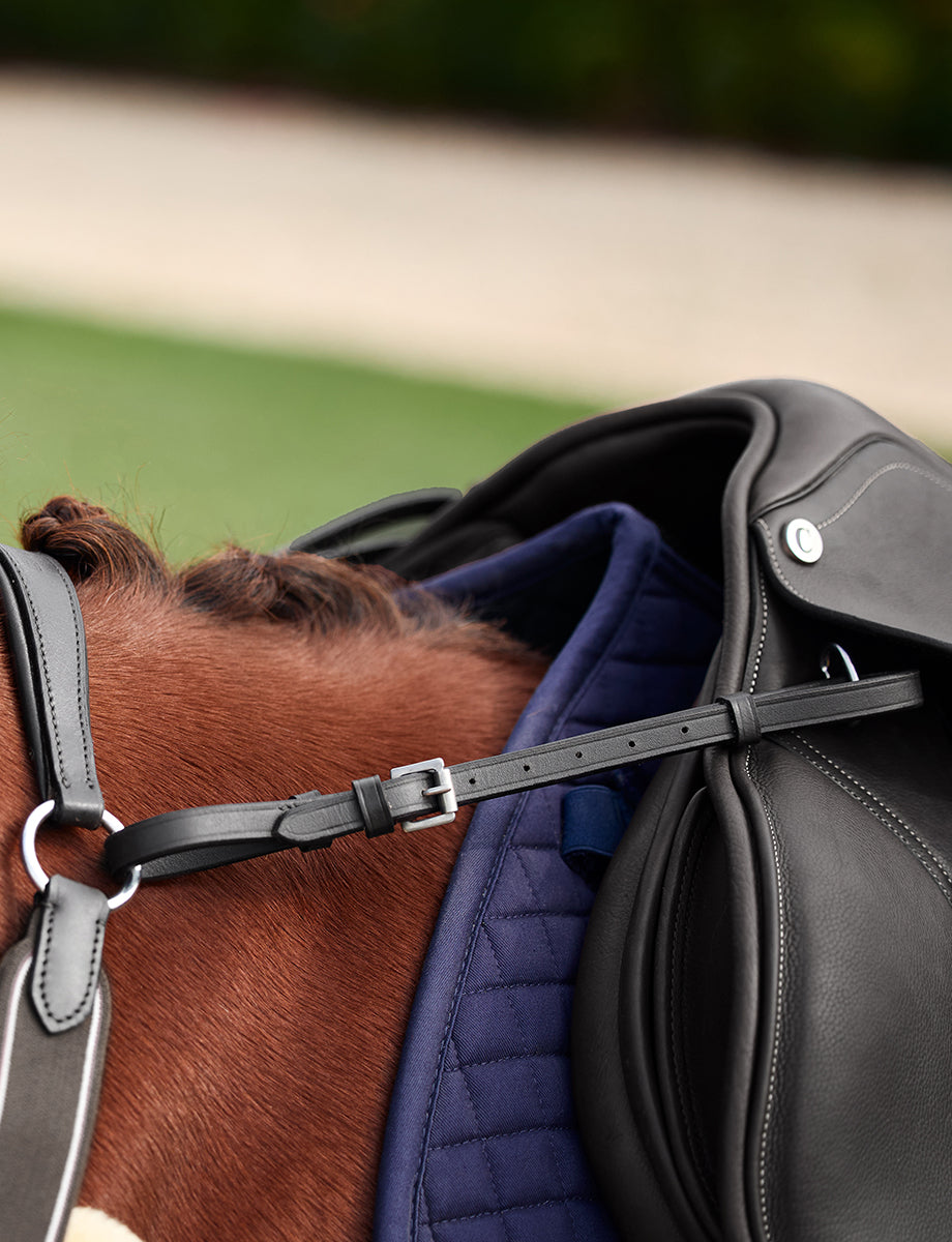 image_feature_1 - Black - Dublin 5-Point Event Breastplate - .jpg