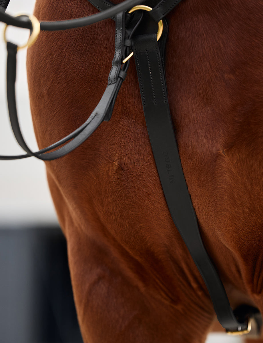 image_feature_2 - Black - Dublin 3-Point Breastplate - .jpg