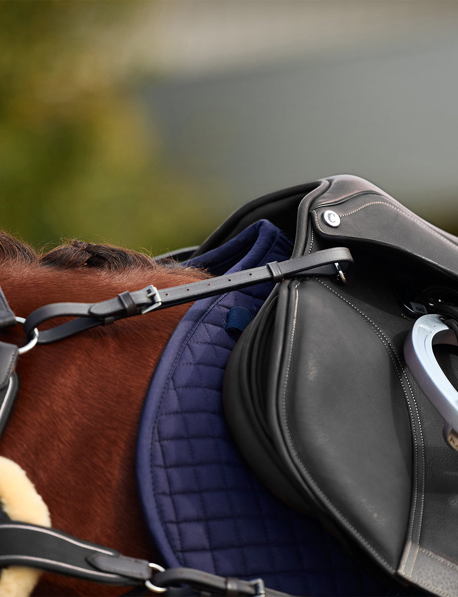 image_feature_2 - Black - Dublin 5-Point Event Breastplate - .jpg