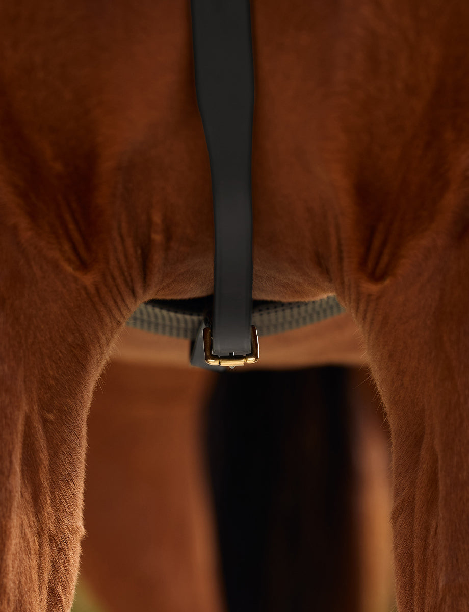 image_feature_3 - Black - Dublin 3-Point Breastplate - .jpg