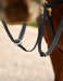 image_feature_3 - Black - Dublin 5-Point Event Breastplate - .jpg