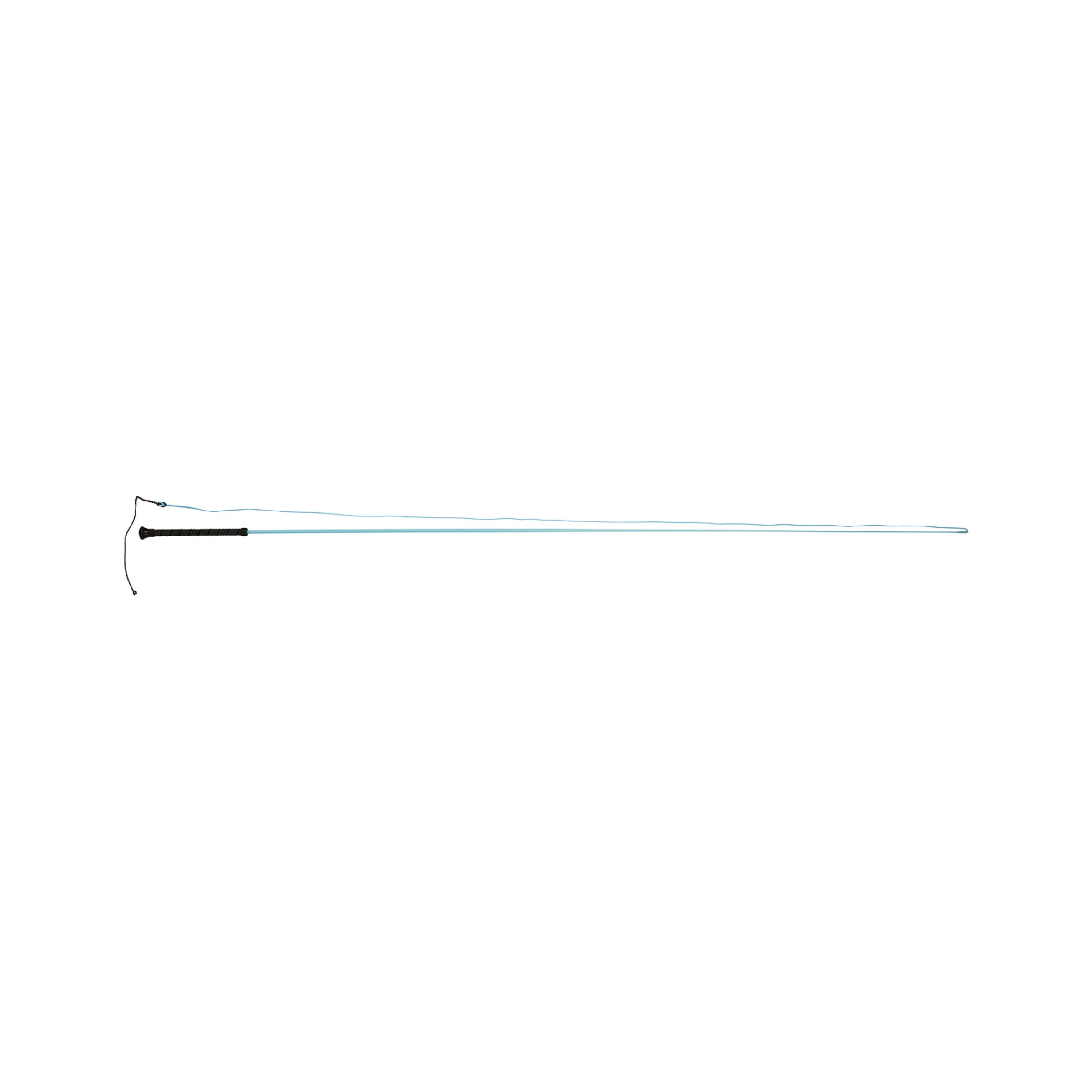 image_main - Aqua - Dublin Brights Lunge Whip - .jpg