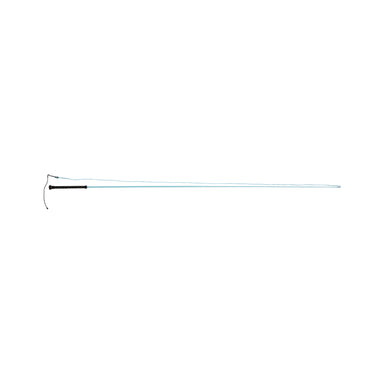 image_main - Aqua - Dublin Brights Lunge Whip - .jpg
