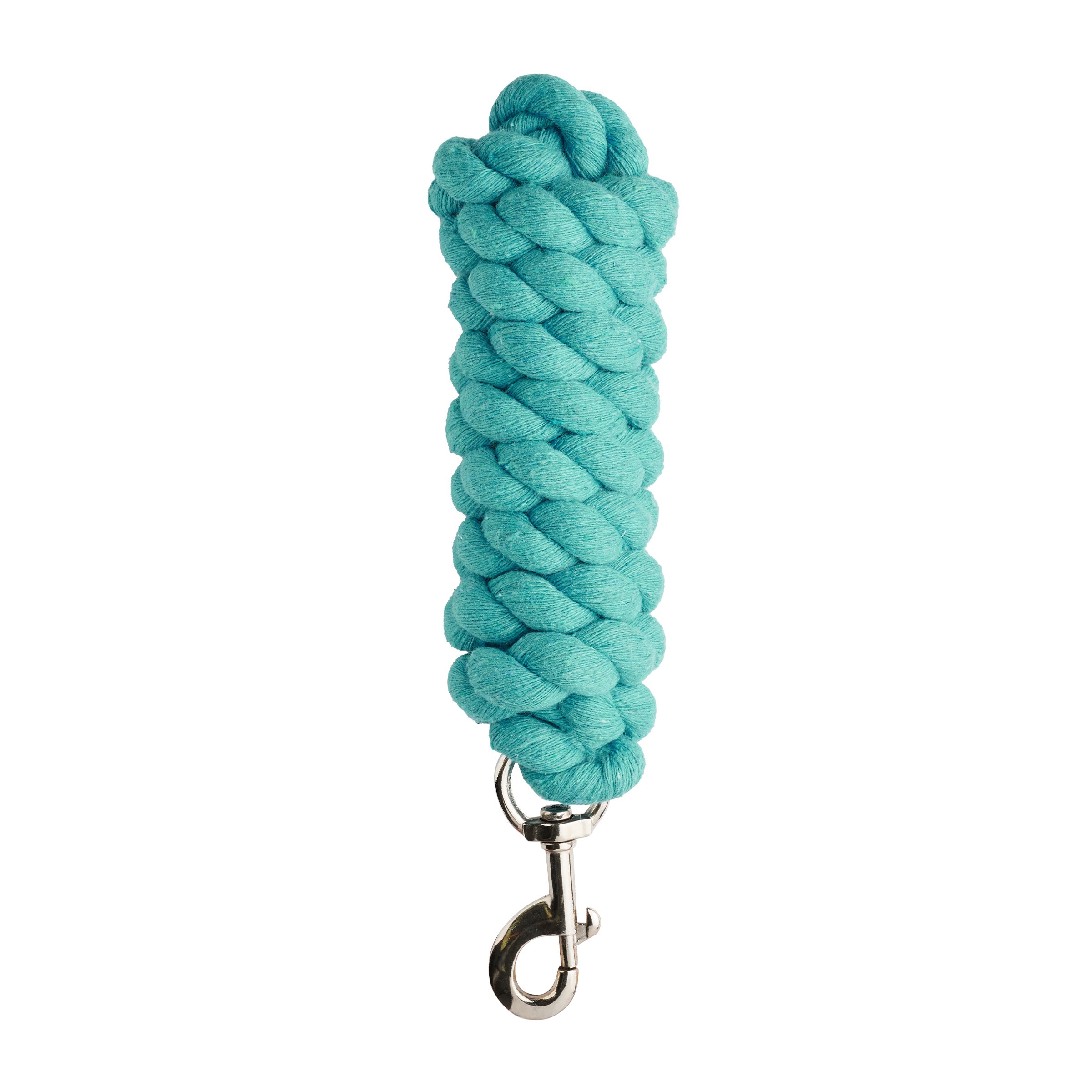image_main - Aqua - Dublin Everyday Lead - .jpg