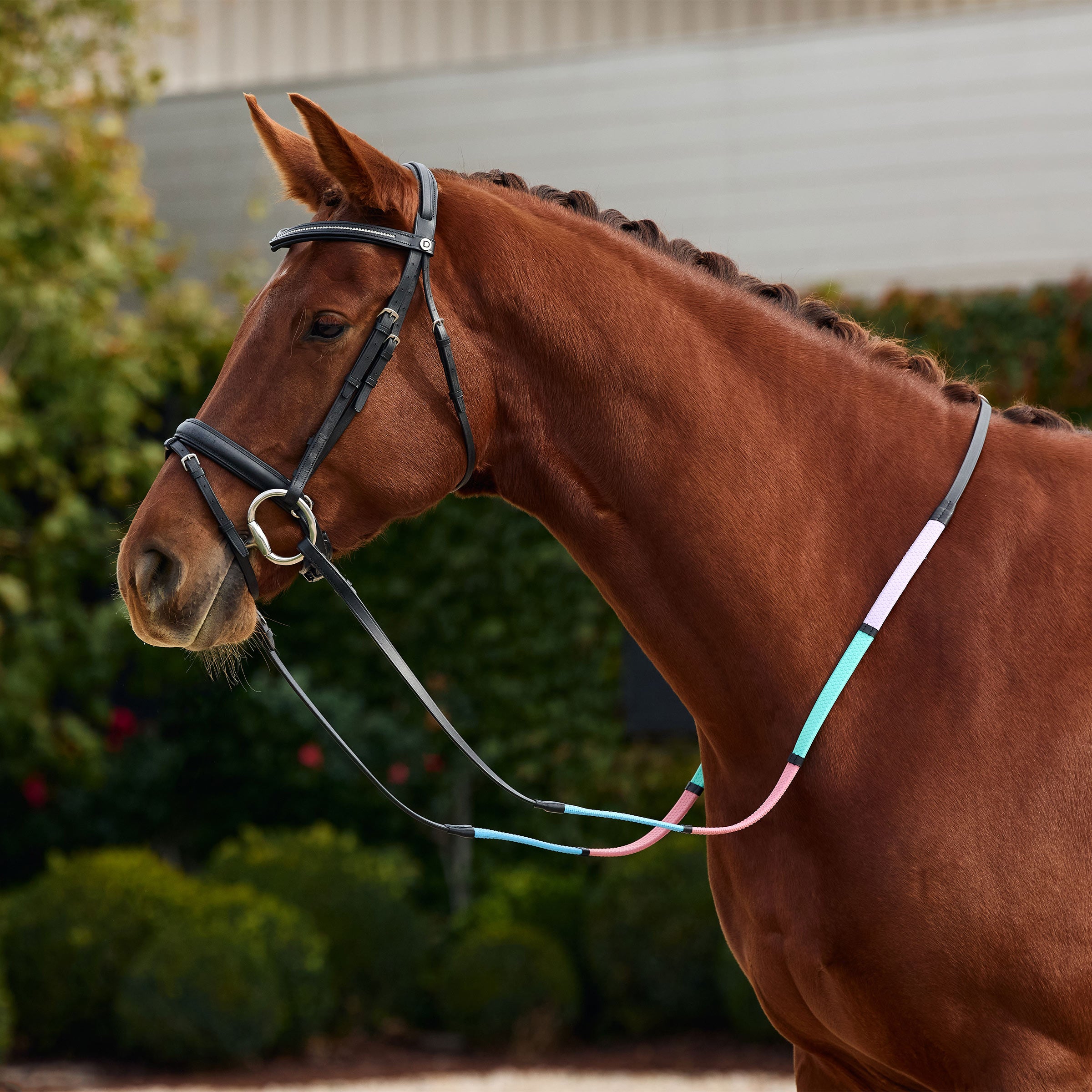 image_main - Black/Multi - Dublin Pastel Rainbow Reins - .jpg
