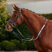 image_main - Black/Multi - Dublin Pastel Rainbow Reins - .jpg