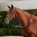 image_main - Black/Multi - Dublin Rainbow Reins - .jpg
