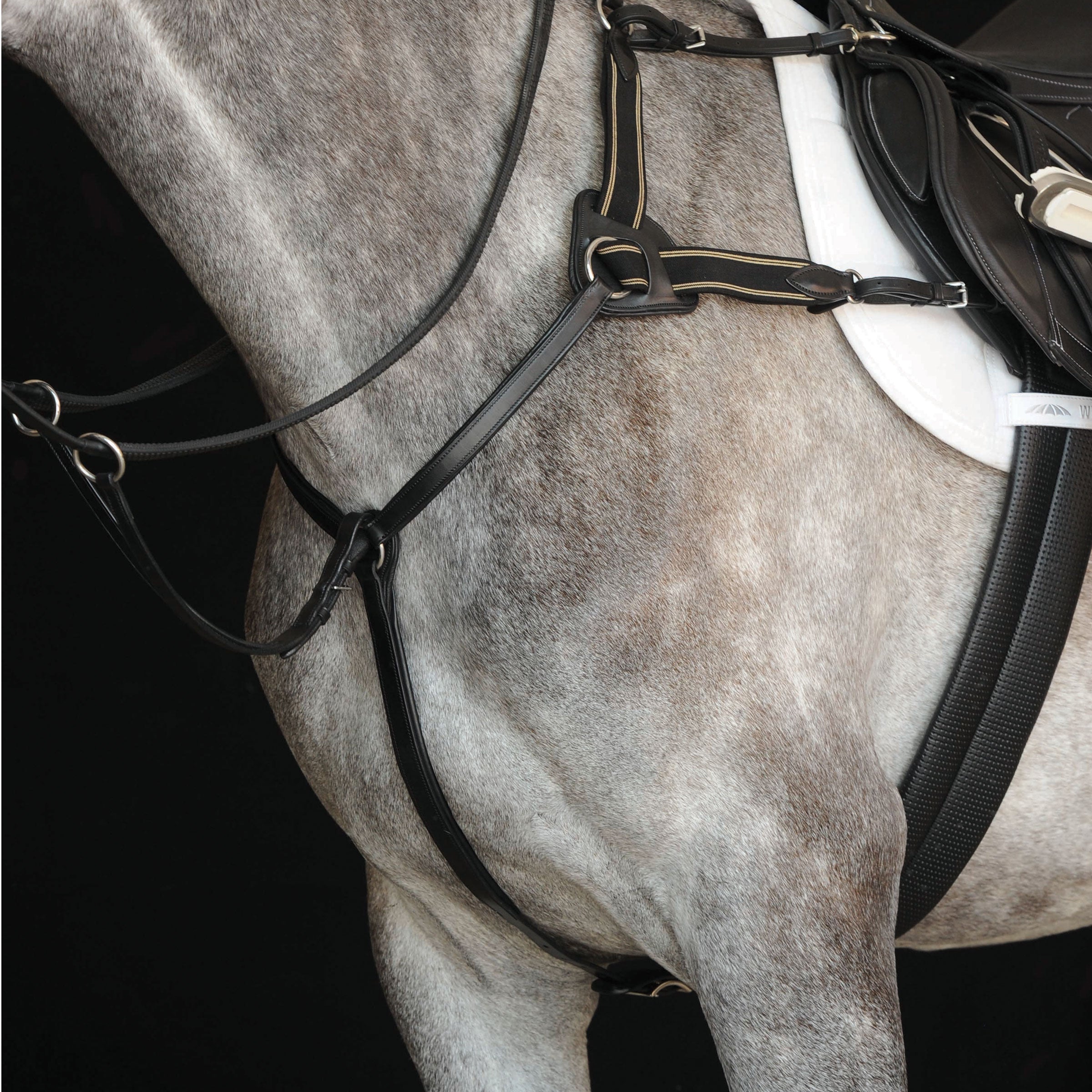 image_main - Black - Collegiate 5-Point Breastplate IV - .jpg