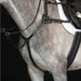 image_main - Black - Collegiate 5-Point Breastplate IV - .jpg