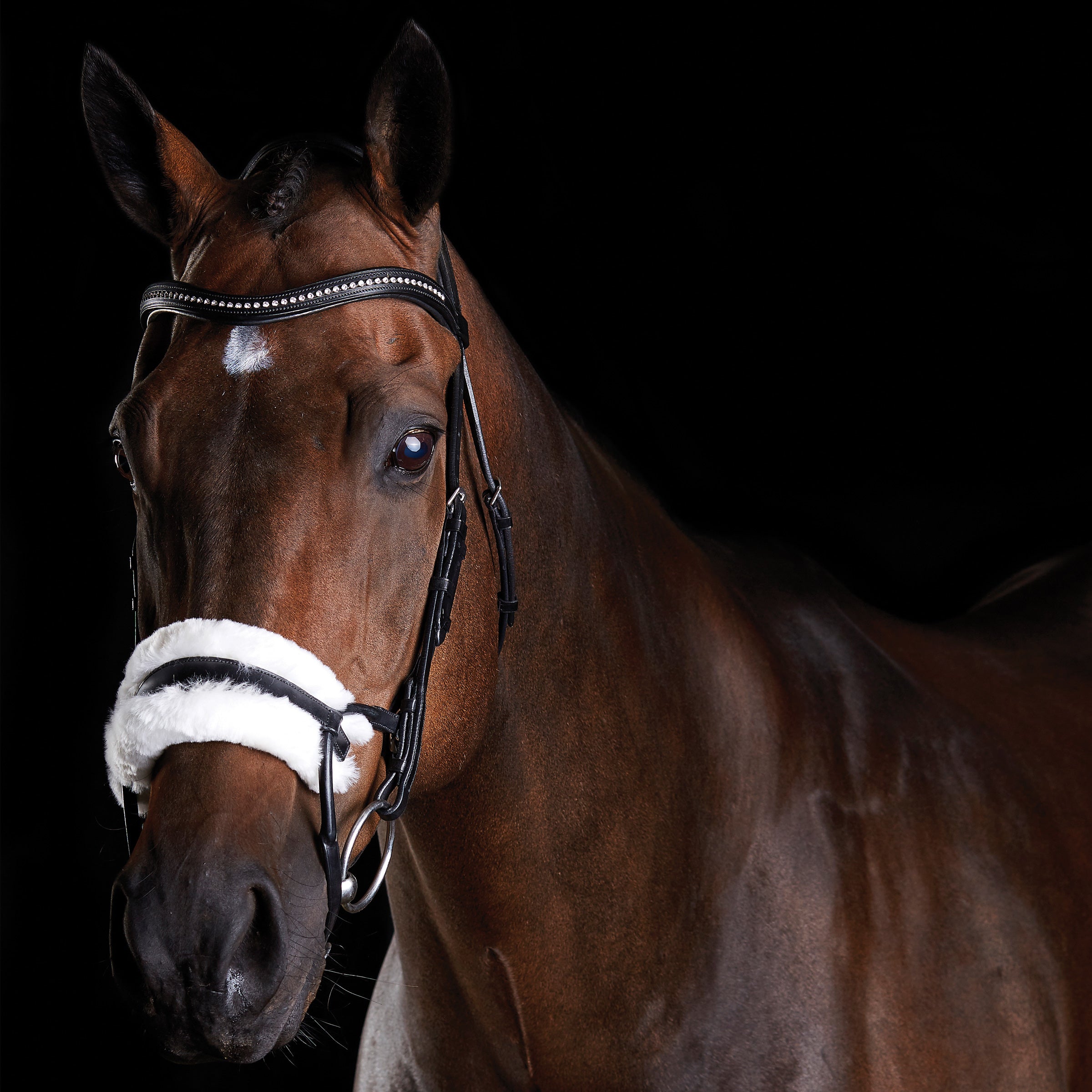 image_main - Black - Collegiate ComFiTec Sheepskin Bridle - .jpg