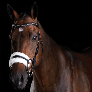 image_main - Black - Collegiate ComFiTec Sheepskin Bridle - .jpg