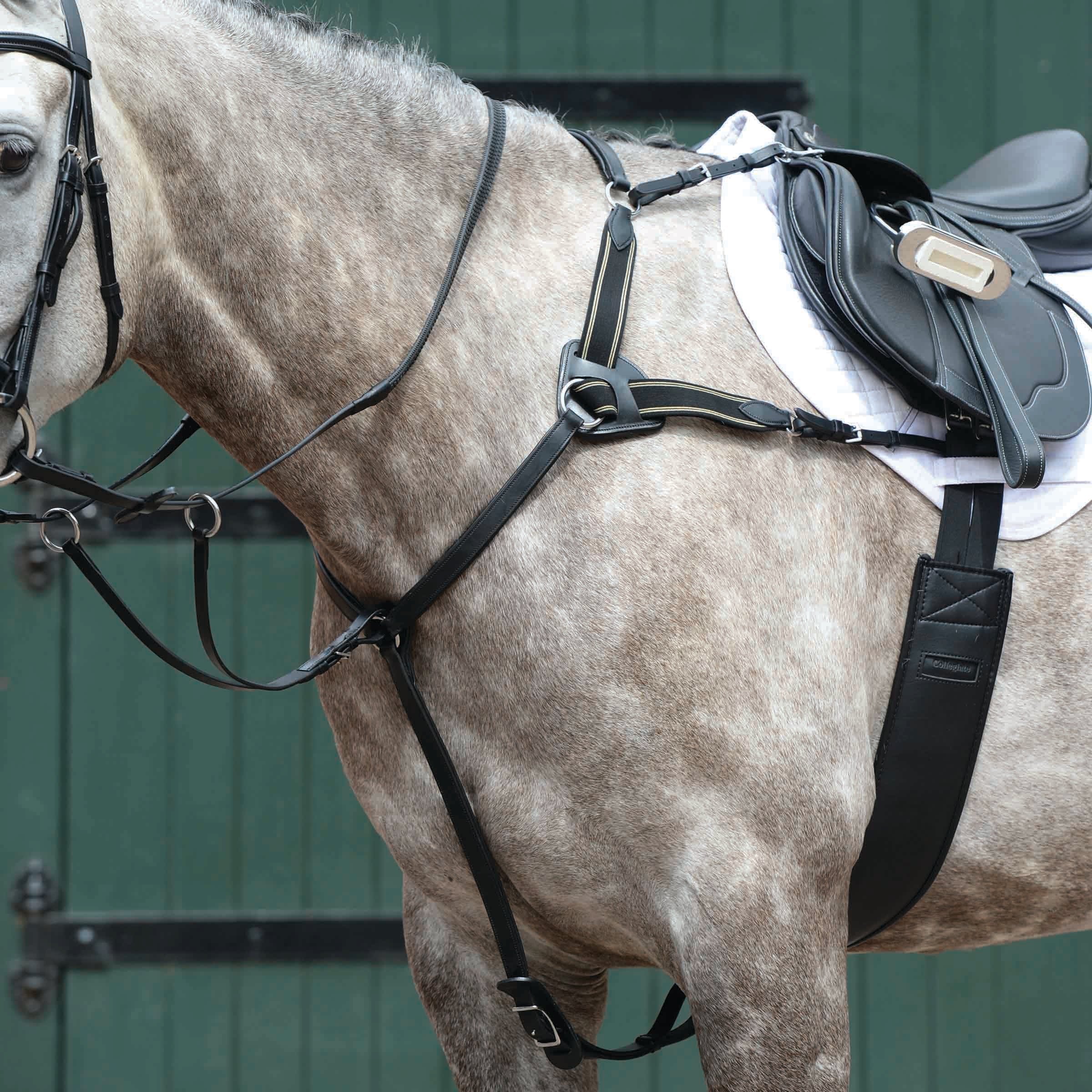 image_main - Black - Collegiate Essential 5-Point Breastplate - .jpg