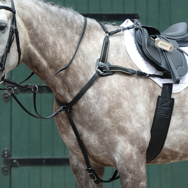 image_main - Black - Collegiate Essential 5-Point Breastplate - .jpg