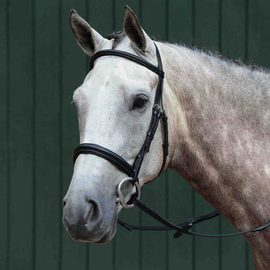 image_main - Black - Collegiate Essential Padded Raised Cavesson Bridle - .jpg